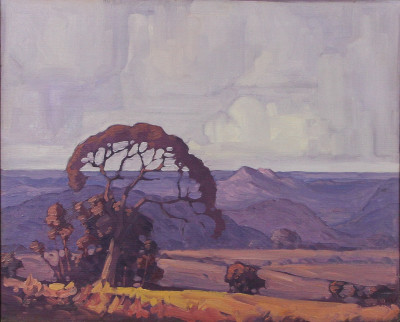 Landscape, Eastern Transvaal