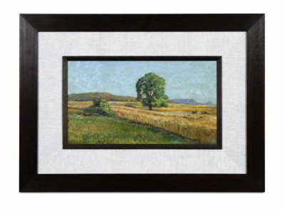 Wheatfield in Malmesbury