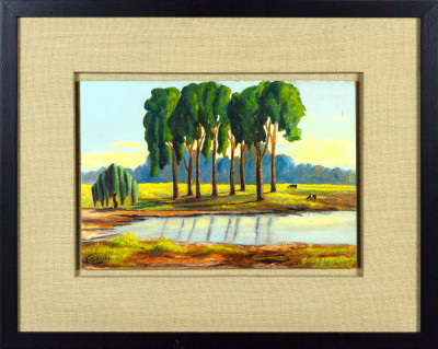 Eight Gum Trees, near Orlando
